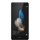 Huawei P8 Lite Cover & Skærmbeskyttelse