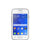 Samsung Galaxy Young 2 SH-G130 Cover & Skærmbeskyttelse