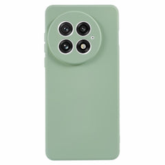 EIDERWOOD OnePlus 13 Foret Fleksibelt Plast Cover - Lysegrøn