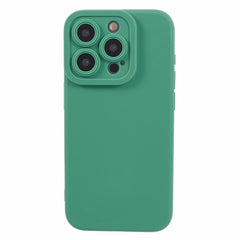 EIDERWOOD iPhone 12 Pro Max Fleksibelt Plastik Cover - Grøn