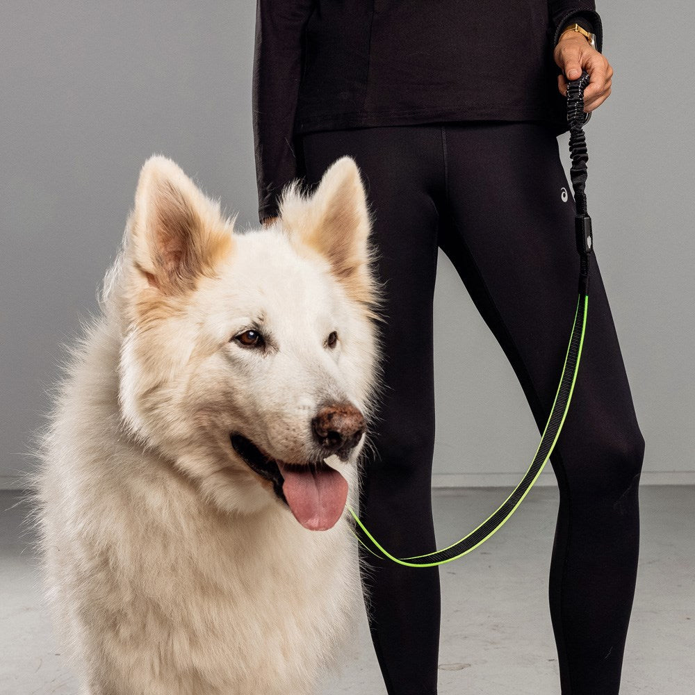 Bee-Safe LED Hundesnor til Løb - Sort
