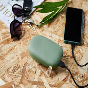 Se udvalget for Powerbank