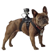 Se udvalget for GoPro 