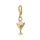Charms & Accessories